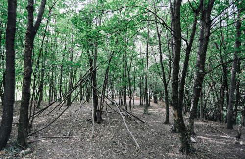 AGRITURISMO CA' FENILE - Foto 99