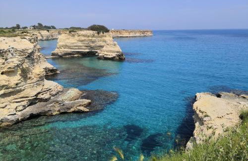 Oasi di Mare - Foto 2