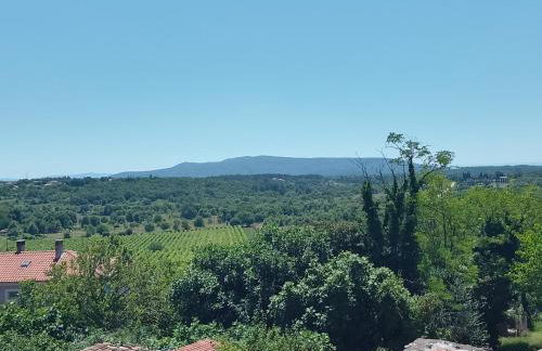 Apartments Lazzarini Battiala - Foto 14