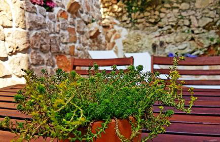 Villa Cherie - Photo 53