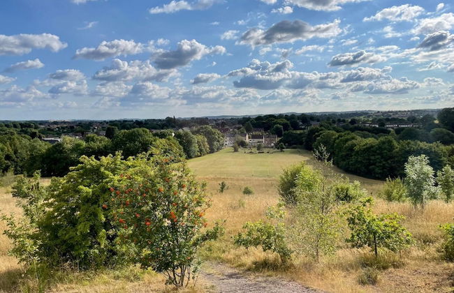 Lovely 3BD Home in the Heart of Morton - Foto 21