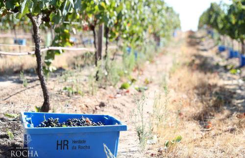 Herdade da Rocha - Boutique Lodge - Foto 79