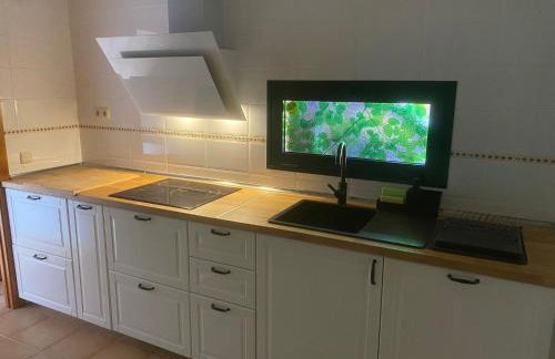 El Cortijo - Photo 7