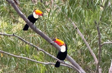 Studio Aquarius - Foto 32