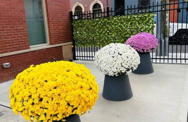 **NEW mOdernLUX best OTR condo *Park ONsite** - Foto 23