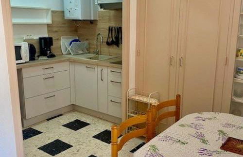 Studio cosy avec terrasse, parking et wifi - Idéal cures et centre-ville, Amélie-les-Bains - FR-1-703-3 - Foto 7