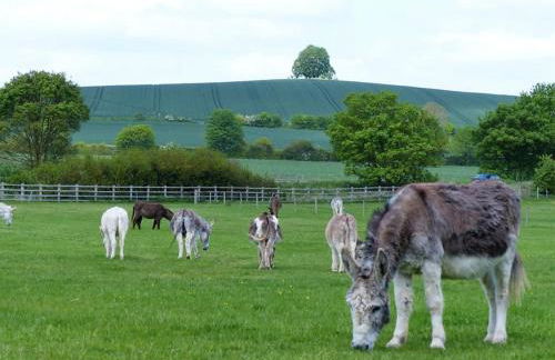 Didcot - Private Flat with Garden & Parking 07 - Foto 36