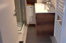 Ανεμώνη Αράχωβα - Foto 13