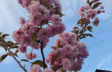 Apartamenty Brenna Klimorówka - Foto 57