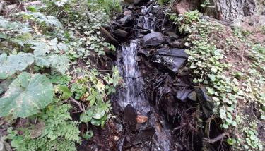 Gîte Les Grands Champs - Foto 2