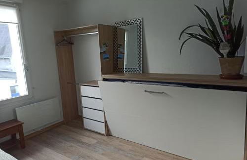 Studio Cosy renove 2023 avec garage - Foto 6