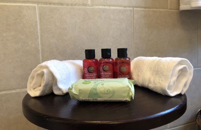 Camellia chalet - Photo 9