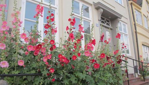 Am Hafen 13 - Photo 4