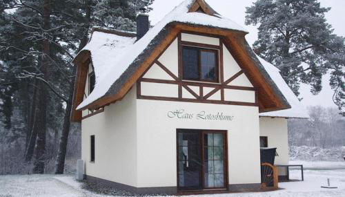 Ferienhaus Lotusblume in Zirchow - Foto 4