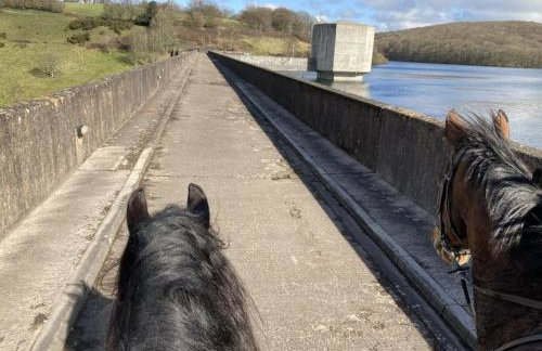 The Pony Stalls Brompton Regis - Foto 30