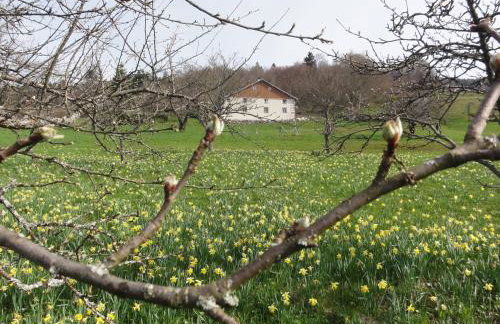 Gite le grenier du roc - Foto 9