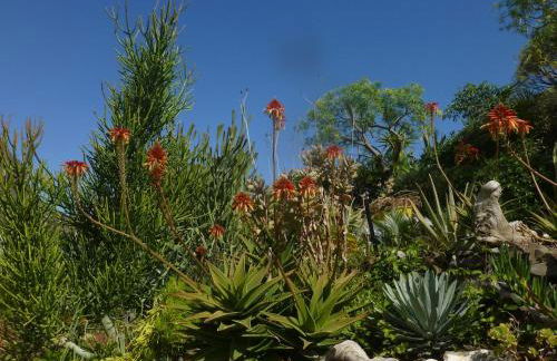 El Tangaro - Foto 48