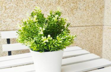 Almar Carril - Foto 16