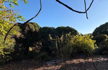 Casa de roça - Foto 30