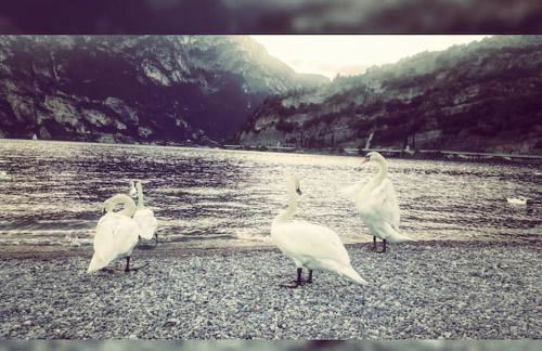 Casa Lessi - Stay longer, pay less! - Foto 20