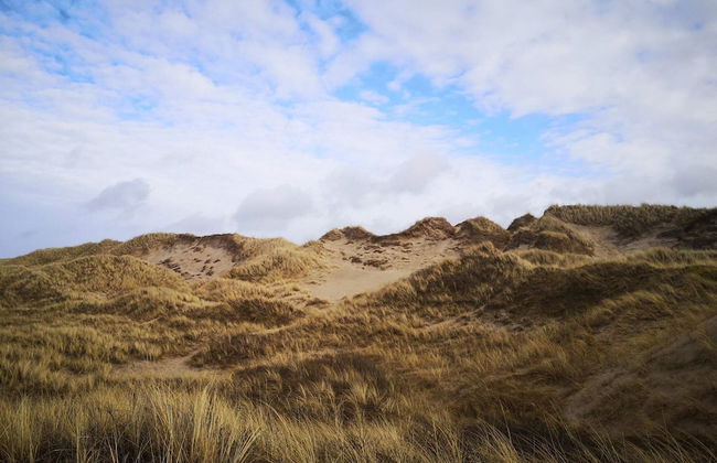 10 Person Holiday Home in Bindslev-by Traum - Foto 8