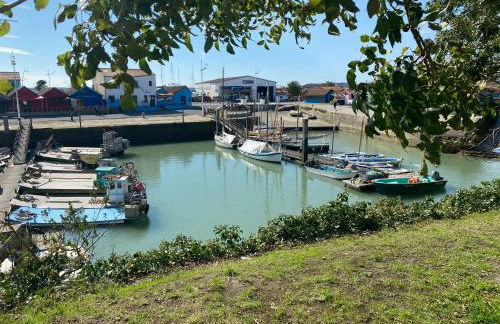 Les Amareyeurs - Ile d'Oléron - Maison classée 3 étoiles avec piscine - Clim - Vélos - Foto 19