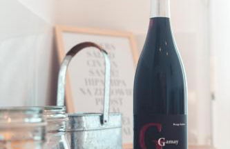 Le Gamay Appartement 6 personnes - Foto 28