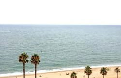 Luxury Apartamenty - Photo 66