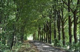 Haus Porsche - Foto 28