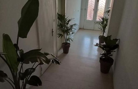 Apartment, Marina di Ravenna - Foto 27