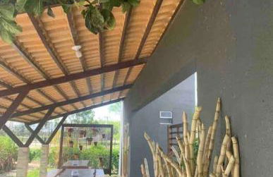 LD House- Bananeiras - Photo 25