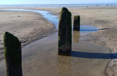 Hazel Cottage, Frithelstock - Foto 31