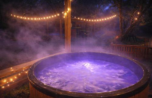 Osada Brzeziny - 25 minut od Warszawy - sauna, balia z jacuzzi, basen, altana, grill, ogród, ognisko - Foto 8