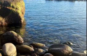 Ocean view - Photo 16