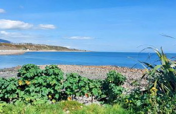 The Beach House - Photo 23