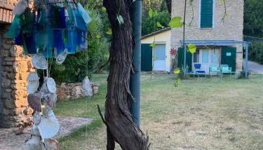 la cana dolce - Foto 3
