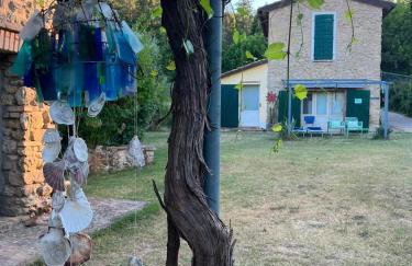 la cana dolce - Foto 3