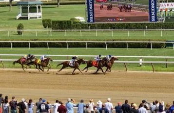 9 Bedroom Saratoga Retreat, In-Ground Heated Pool, HotTub, Firepit, Gourmet Kitchen, Private Office - Foto 79