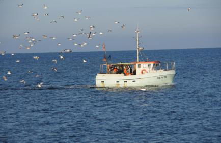 Ferienhaus Strandmuschel am Ostseestrand Zierow - Photo 24