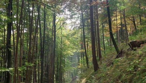 Ferienwohnung Beim Straßer - Foto 5