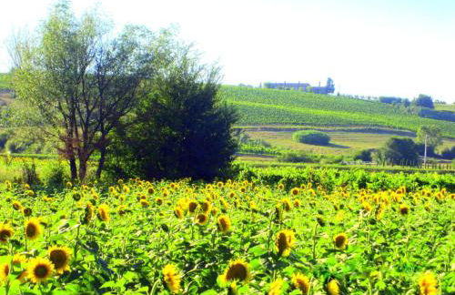 Apartment Agrotourismus - Wohnung mit Pool by Interhome - Foto 22