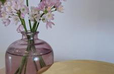 Monte do Rochinha - Foto 36