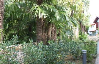 Chalet ILONA - Foto 11