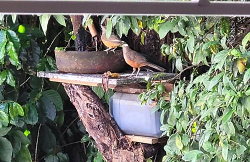 Casa 2000 Positivo UTFPR INC Volvo - Foto 19