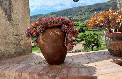 Country House B&B Antica Dimora Del Sole - Foto 58