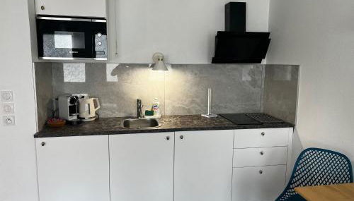 Agatha : ACCES FACILE GARE PARDIEU / EUREXPO / AEROPORT / GROUPAMA STADIUM - Foto 2