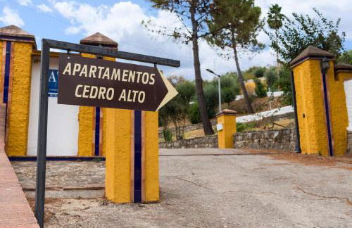 Apartamentos Cedro Alto - Photo 80