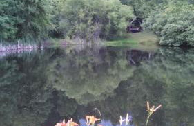 Cabin in the Treetops-Peaceful 1BR 20-Acre Rural Retreat-HotTub&WiFi near Asheville - Foto 10