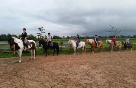 Bauernhauswohnung 2 - Foto 8