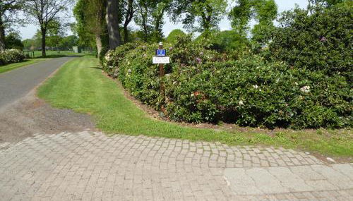 Schmidtfewo Moorgeist - Foto 4